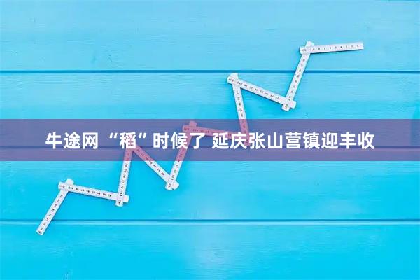 牛途网 “稻”时候了 延庆张山营镇迎丰收