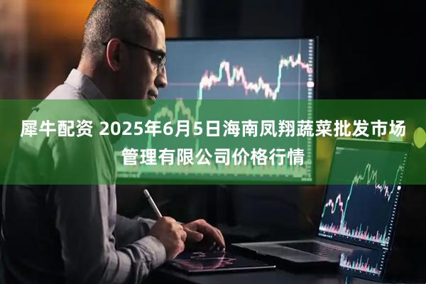 犀牛配资 2025年6月5日海南凤翔蔬菜批发市场管理有限公司价格行情