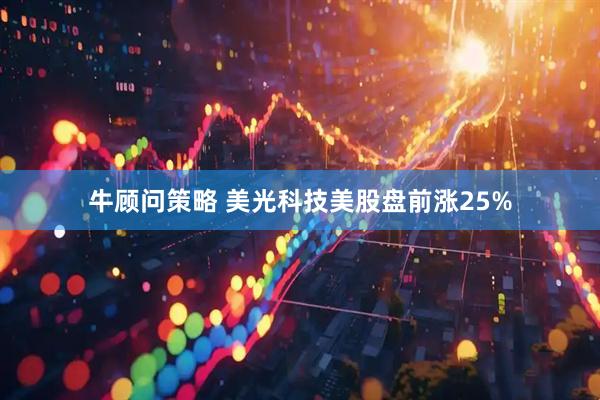 牛顾问策略 美光科技美股盘前涨25%