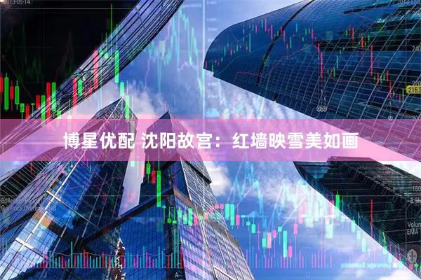 博星优配 沈阳故宫：红墙映雪美如画