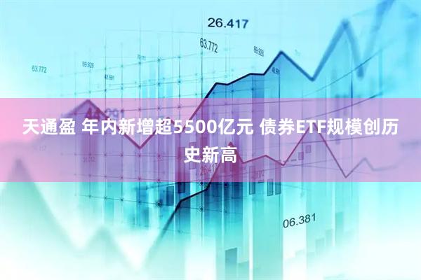 天通盈 年内新增超5500亿元 债券ETF规模创历史新高