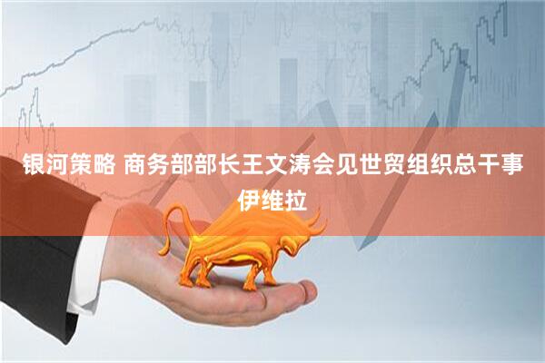 银河策略 商务部部长王文涛会见世贸组织总干事伊维拉