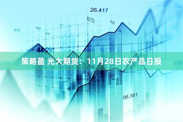 策略盈 光大期货：11月28日农产品日报