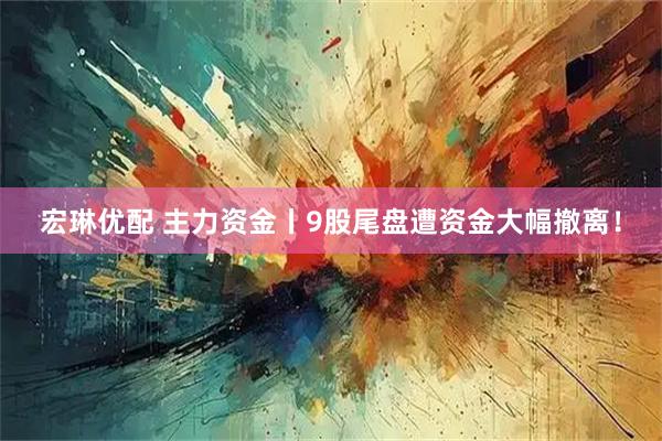 宏琳优配 主力资金丨9股尾盘遭资金大幅撤离！