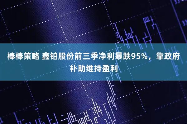 棒棒策略 鑫铂股份前三季净利暴跌95%，靠政府补助维持盈利