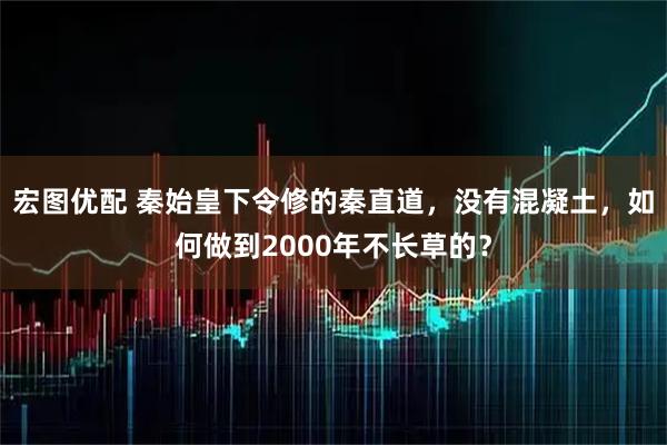 宏图优配 秦始皇下令修的秦直道，没有混凝土，如何做到2000年不长草的？
