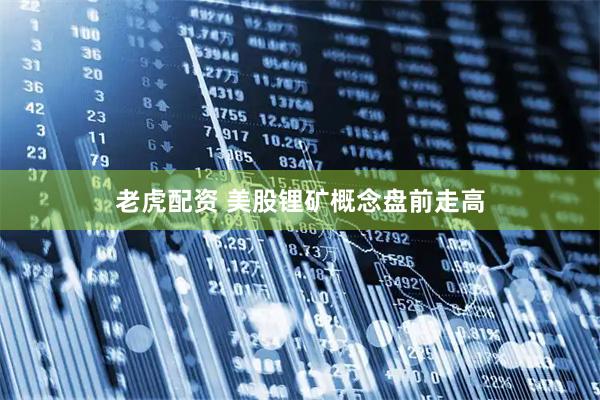 老虎配资 美股锂矿概念盘前走高